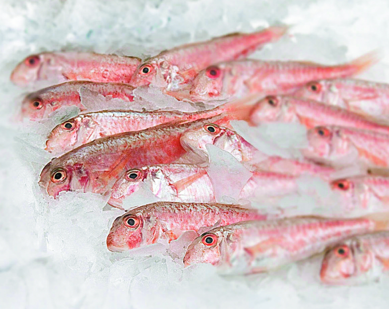 Poisson écailles plates